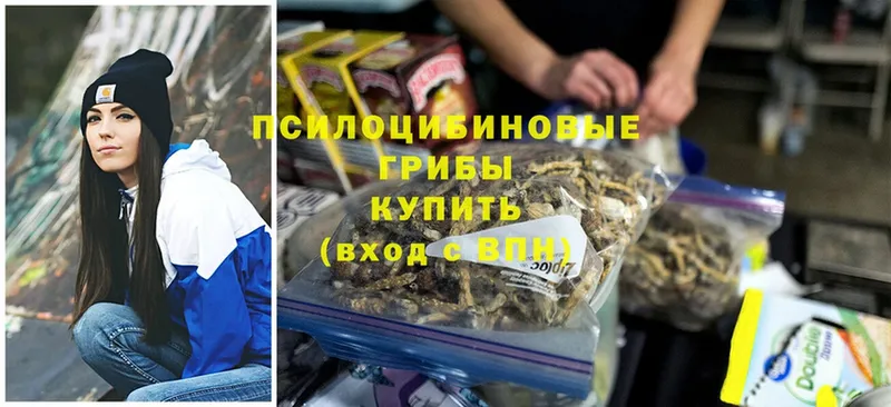 Псилоцибиновые грибы MAGIC MUSHROOMS  где найти   Сорочинск 